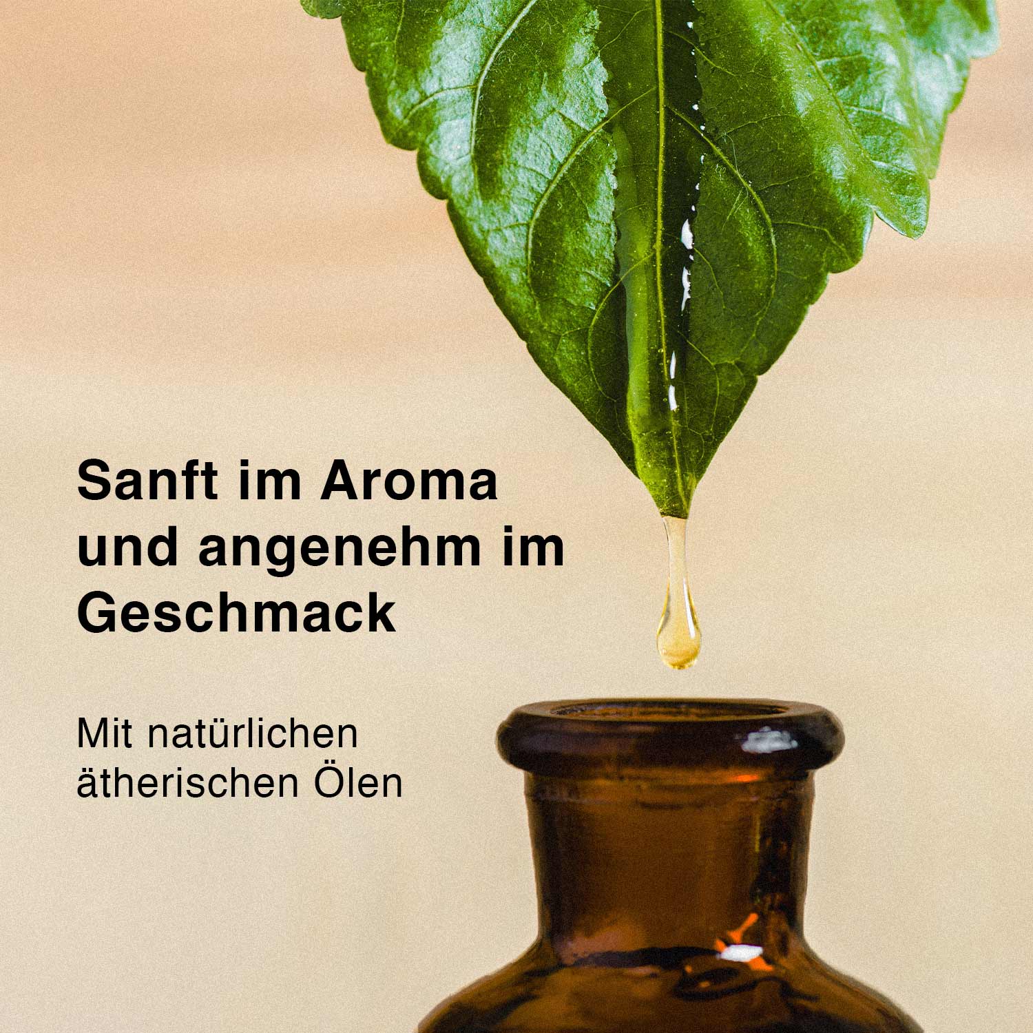Ingwer / Zitrone (Active)